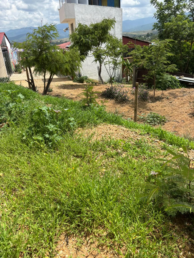 Inmobiliaria en Oaxaca
