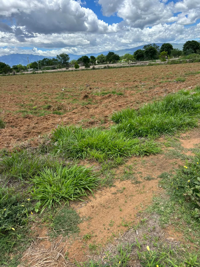 Inmobiliaria en Oaxaca