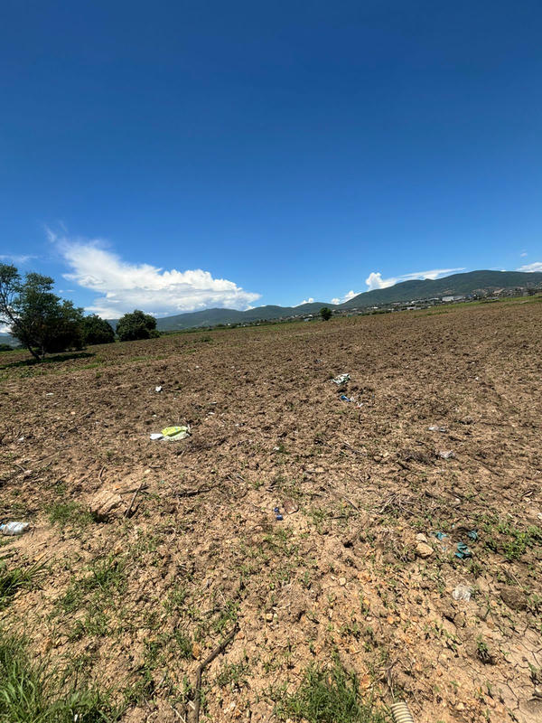 Inmobiliaria en Oaxaca