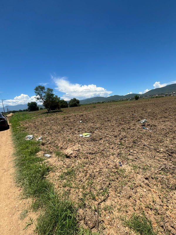 Inmobiliaria en Oaxaca