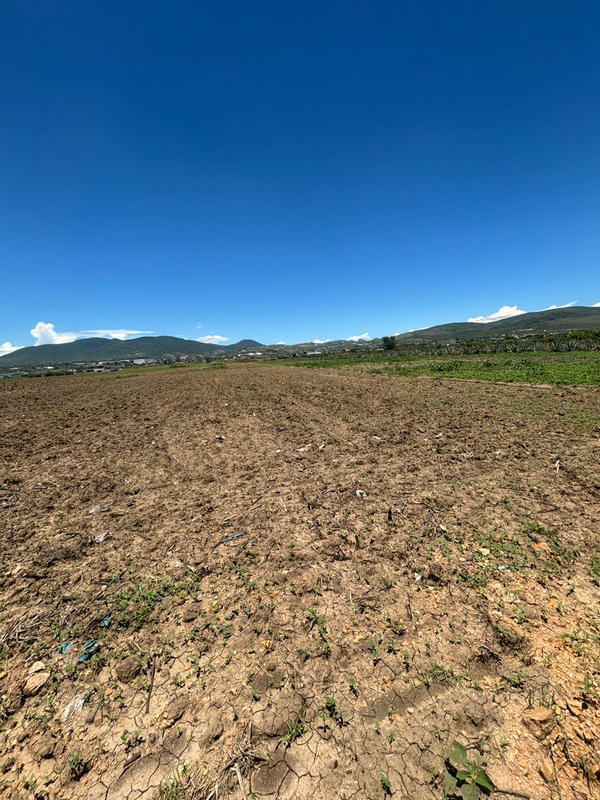 Inmobiliaria en Oaxaca